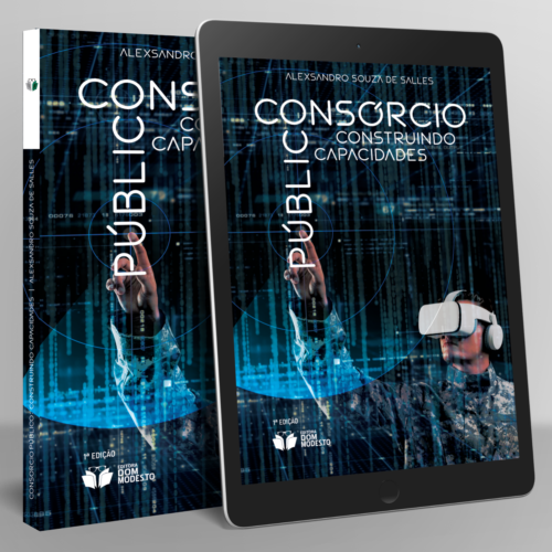 Consórcio Público: construindo capacidades
