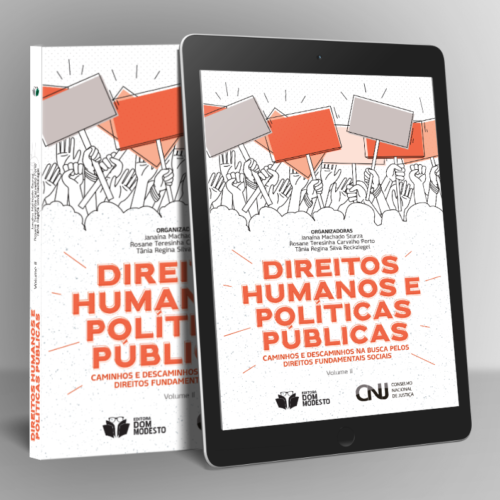 Direitos Humanos e políticas públicas: caminhos e descaminhos na busca pelos direitos fundamentais sociais – vol. II