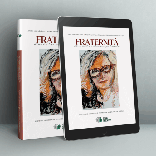 Fraternità: entre o Direito e a vida, a sociologia do encontro – escritos em homenagem à professora Sandra Regina Martini