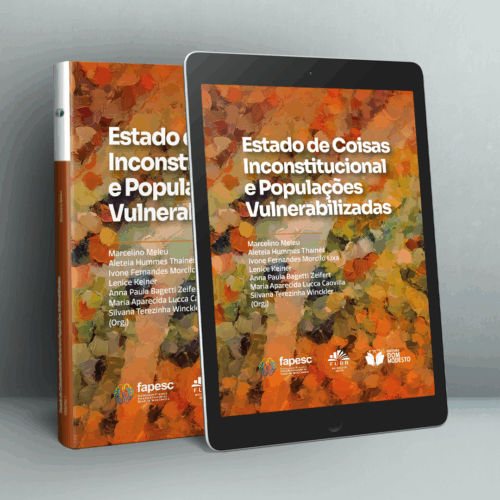 Estado de coisas inconstitucional e populações vulnerabilizadas